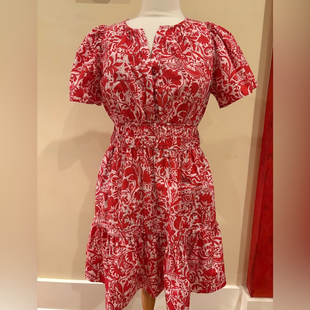 Anthropologie Somerset Maeve Red and Pink Floral Mini Dress